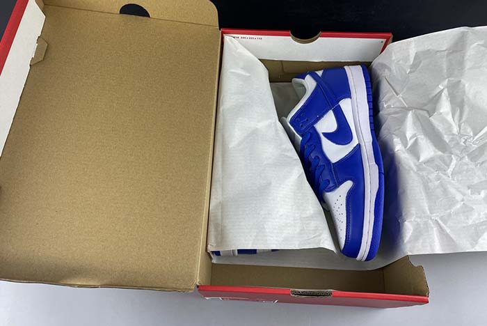 NIKE SB DUNK LOW  CU1726-100