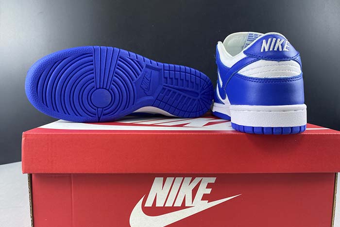 NIKE SB DUNK LOW  CU1726-100