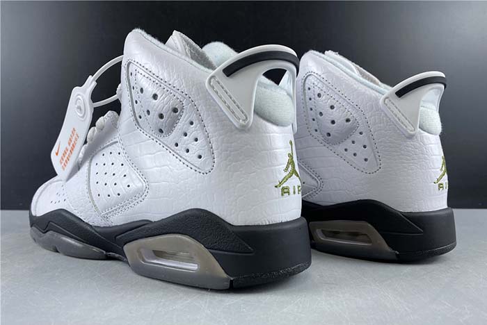 Air Jordan 6 GS “Alligator” 384665-110