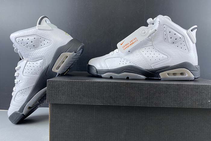 Air Jordan 6 GS “Alligator” 384665-110