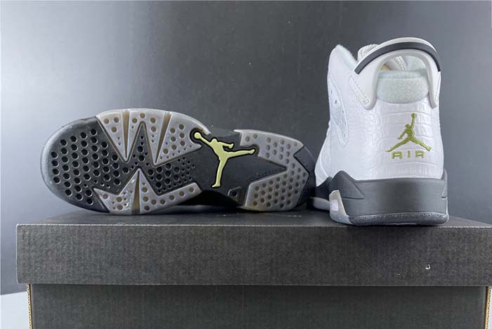 Air Jordan 6 GS “Alligator” 384665-110