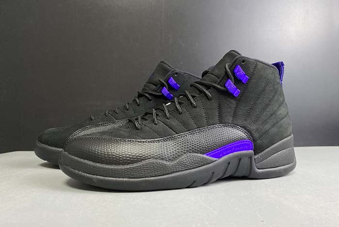 Air Jordan 12 “Dark Concord”  CT8013-005