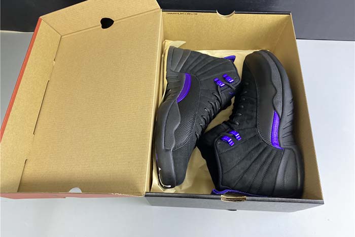 Air Jordan 12 “Dark Concord” CT8013-005