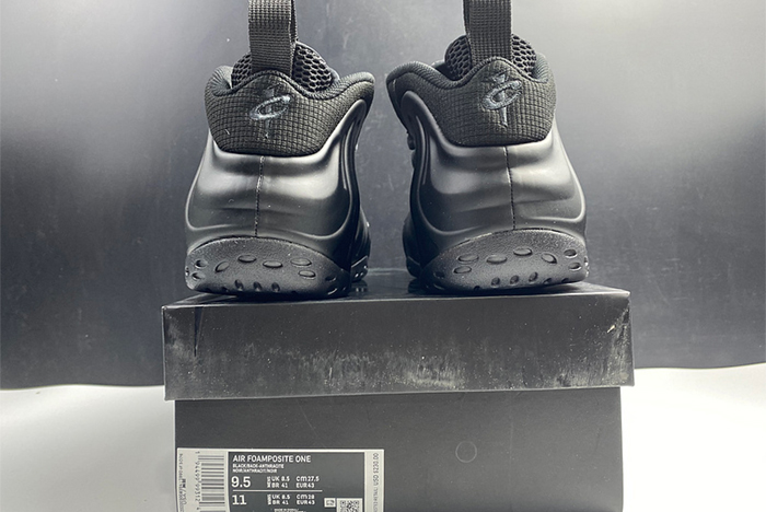 AIR FOAMPOSITE ONE 314996 001