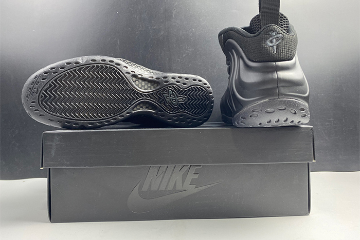 AIR FOAMPOSITE ONE 314996 001