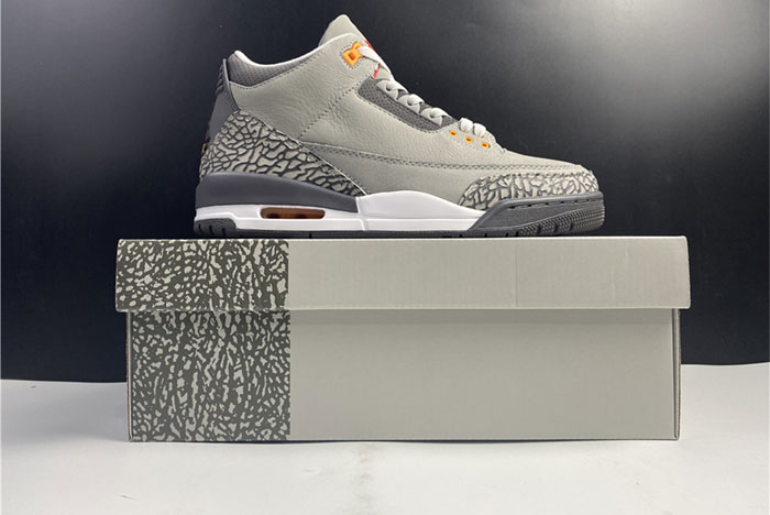 Air Jordan 3``Cool Gray