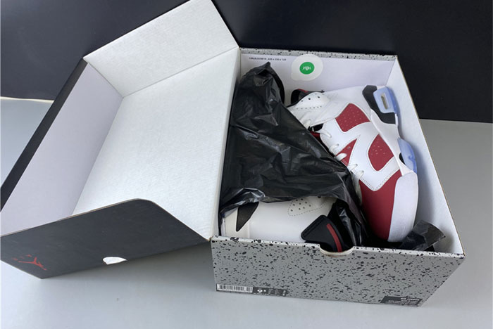 AIR JORDAN 6 384664 160