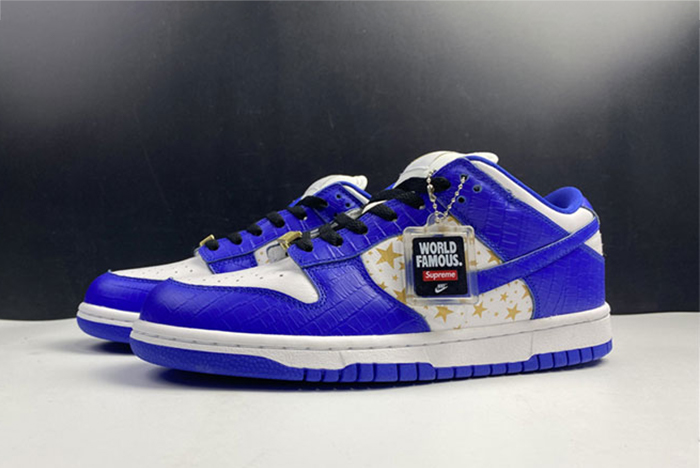 Nike SB Dunk Low DH3228-100