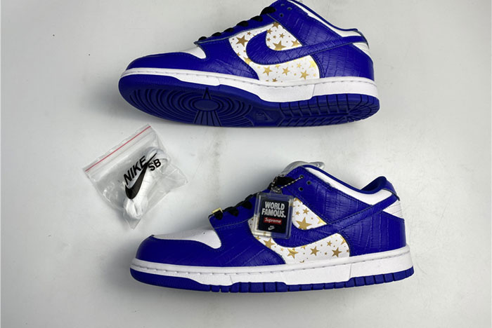 Nike SB Dunk Low DH3228-100