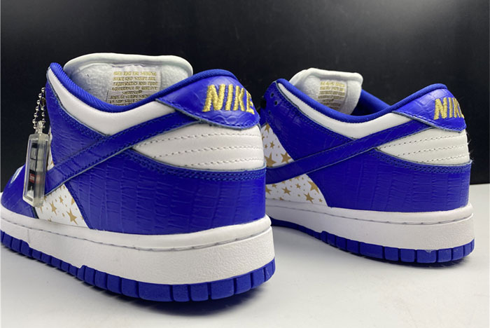 Nike SB Dunk Low DH3228-100