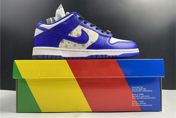 Nike SB Dunk Low DH3228-100