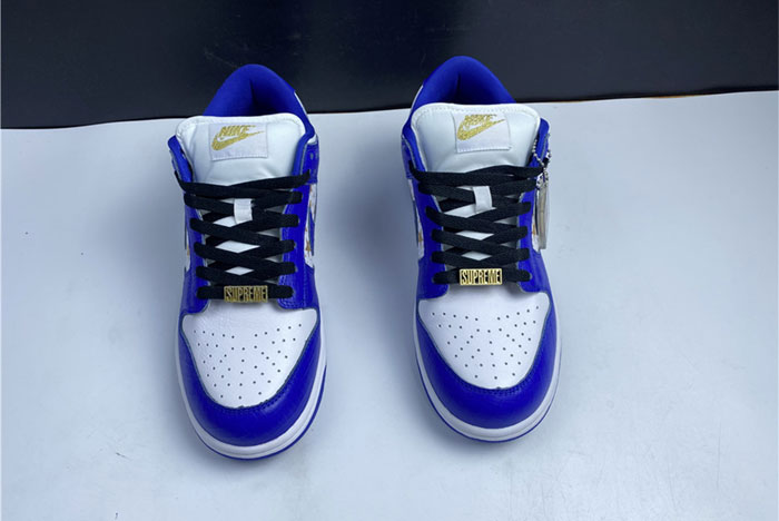 Nike SB Dunk Low DH3228-100