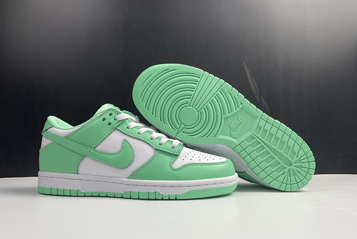 NIKE DUNK LOW  DD1503-105