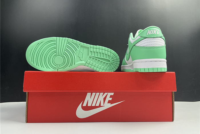 NIKE DUNK LOW  DD1503-105