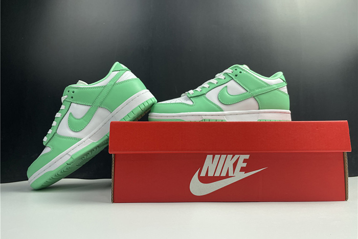 NIKE DUNK LOW  DD1503-105
