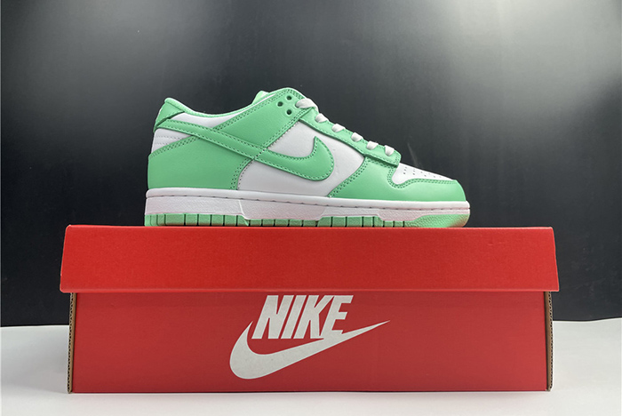 NIKE DUNK LOW  DD1503-105