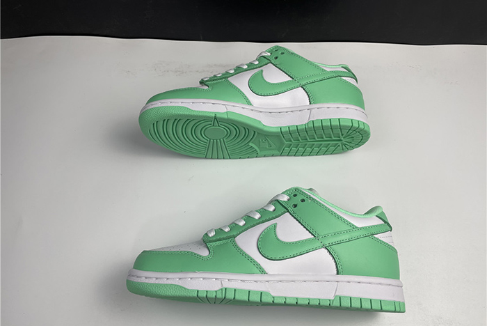 NIKE DUNK LOW  DD1503-105