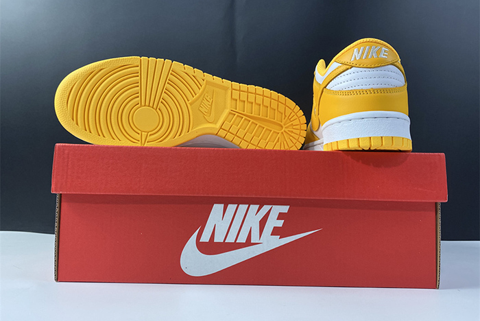 NIKE DUNK LOW DD1503-800