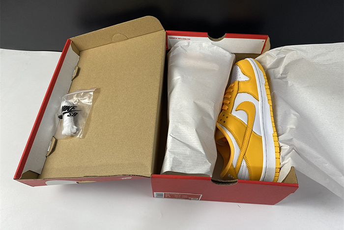 NIKE DUNK LOW DD1503-800