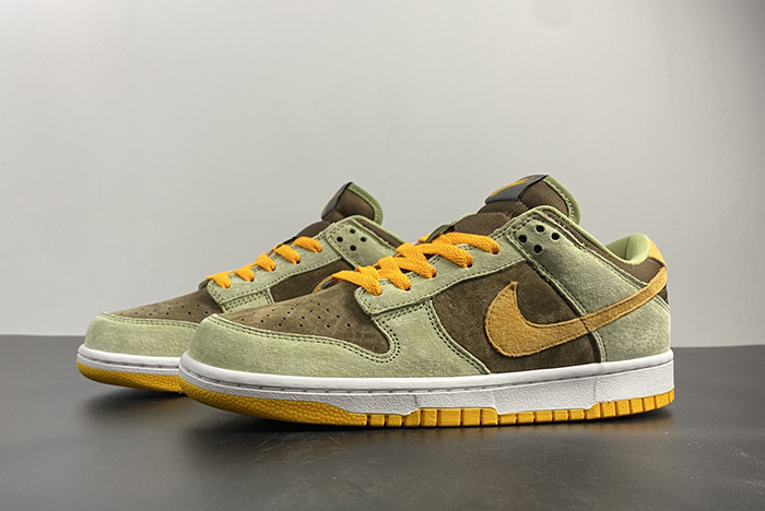 NIKE DUNK SB DH5360-300