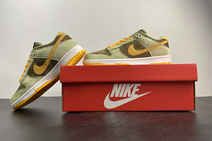 NIKE DUNK SB DH5360-300