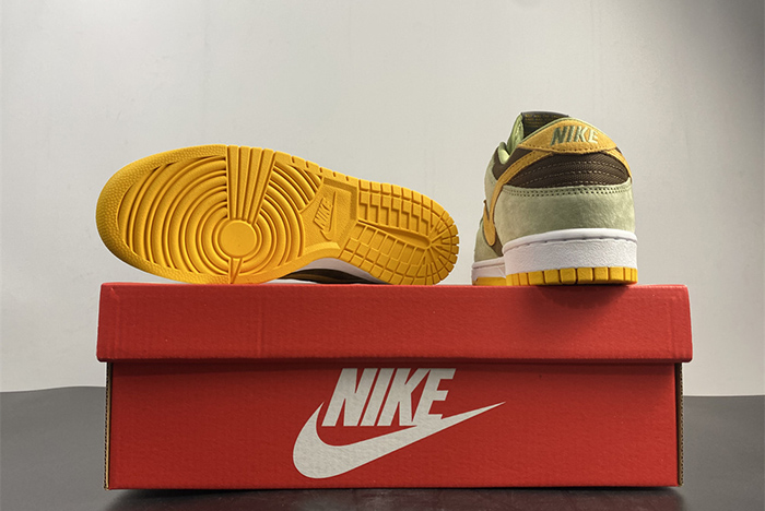 NIKE DUNK SB DH5360-300