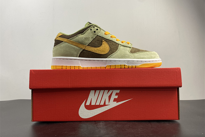 NIKE DUNK SB DH5360-300