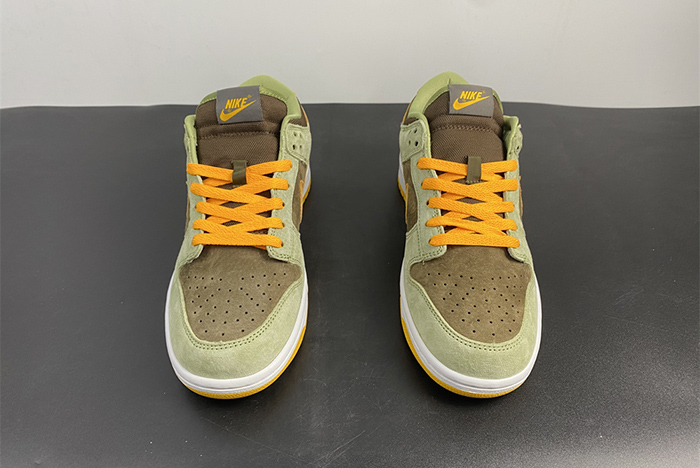 NIKE DUNK SB DH5360-300