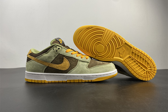 NIKE DUNK SB DH5360-300