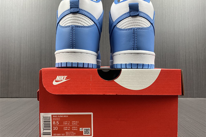 NIKE DUNK HIGH  DD1869-107