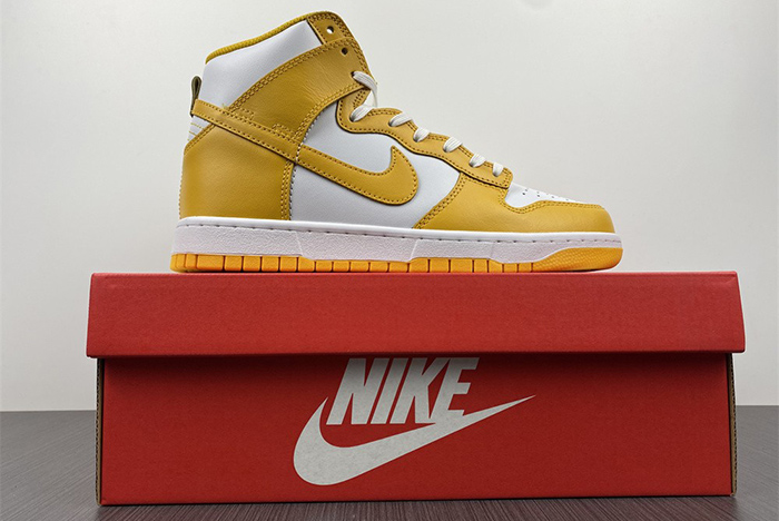 Nike Dunk High  DD1869-106
