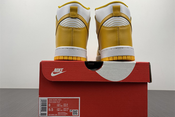 Nike Dunk High  DD1869-106