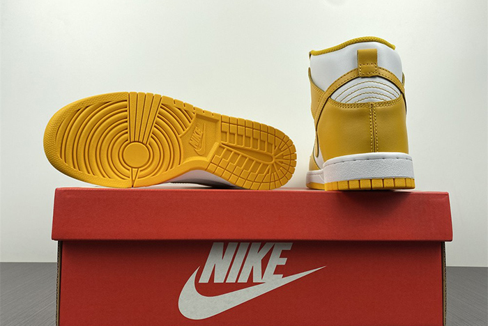 Nike Dunk High  DD1869-106