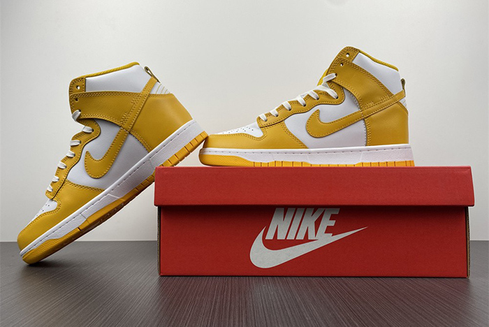 Nike Dunk High  DD1869-106