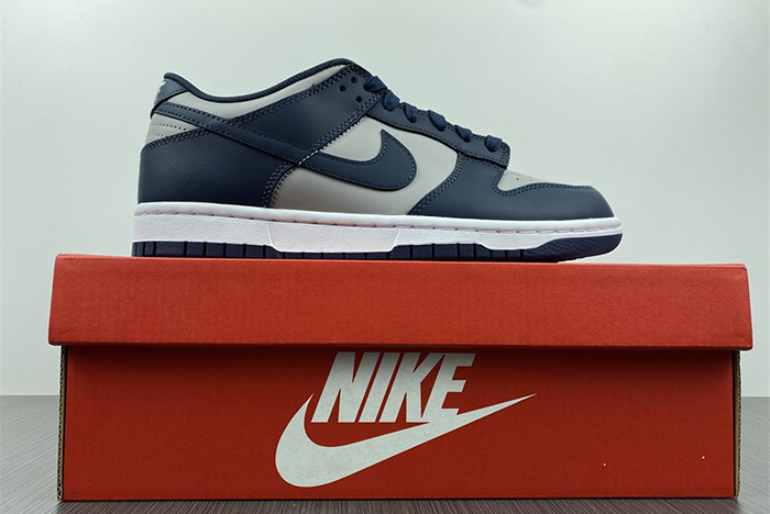 Nike Dunk Low  DD1391-003