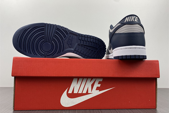 Nike Dunk Low  DD1391-003