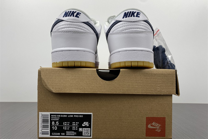 NIKE SB DUNK LOW CZ2249-100