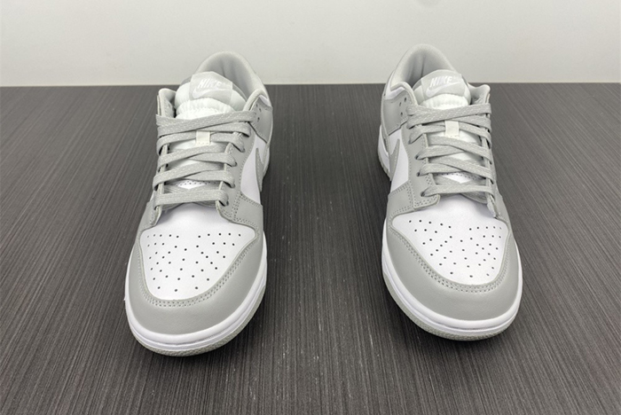 NIKE DUNK LOW RETRO DD1391-103