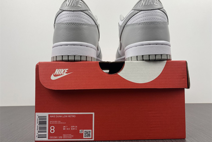 NIKE DUNK LOW RETRO DD1391-103