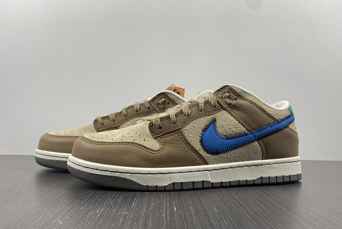 Nk Dunk Low 