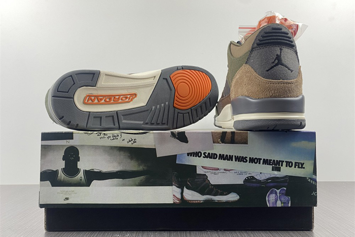 Air Jordan 3 “Camo”