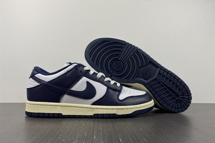 Nike Dunk Low DD1503-115