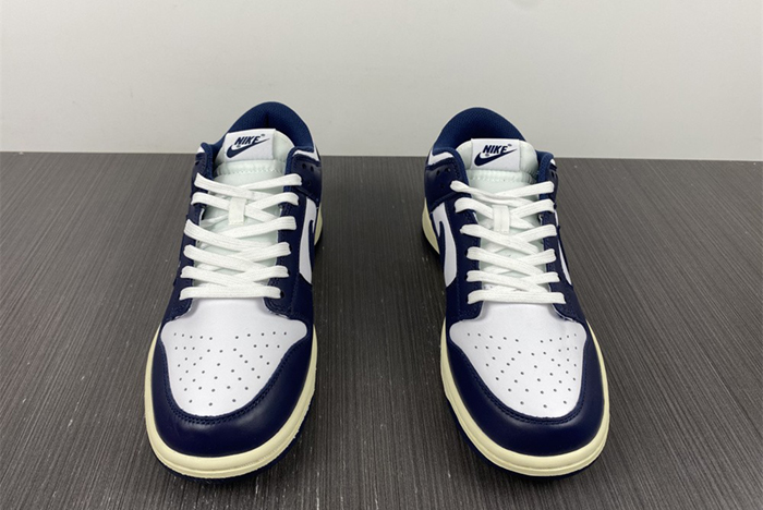 Nike Dunk Low DD1503-115