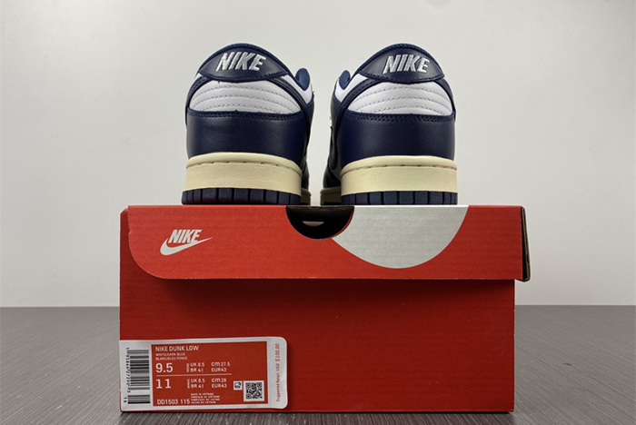 Nike Dunk Low DD1503-115