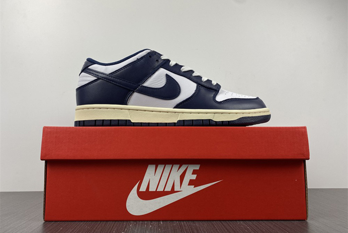 Nike Dunk Low DD1503-115