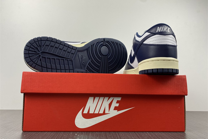 Nike Dunk Low DD1503-115