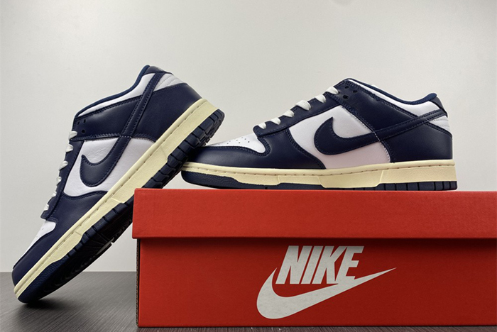 Nike Dunk Low DD1503-115