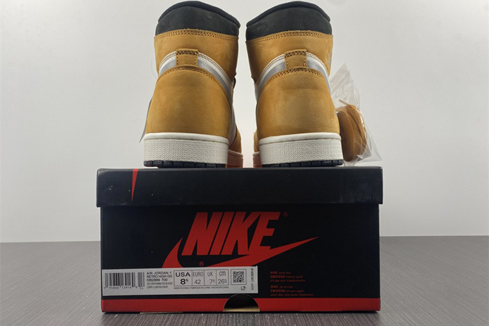 Air Jordan 1 Element DB2889-700