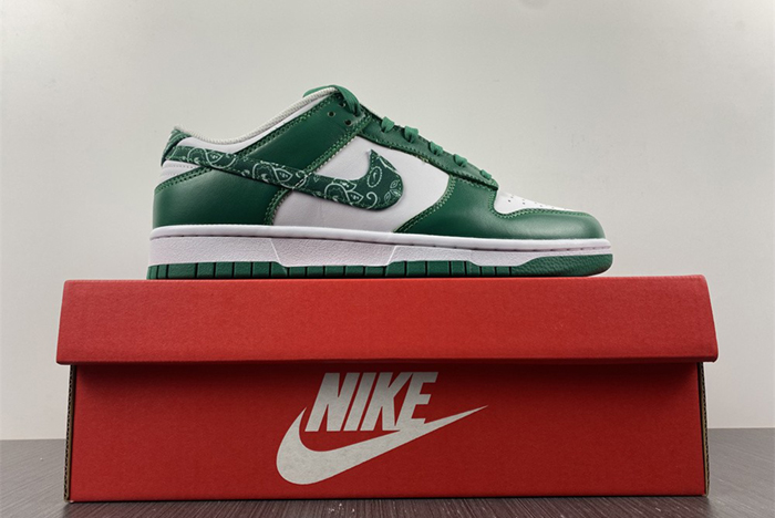 Nike Dunk Low SB DH4401-102