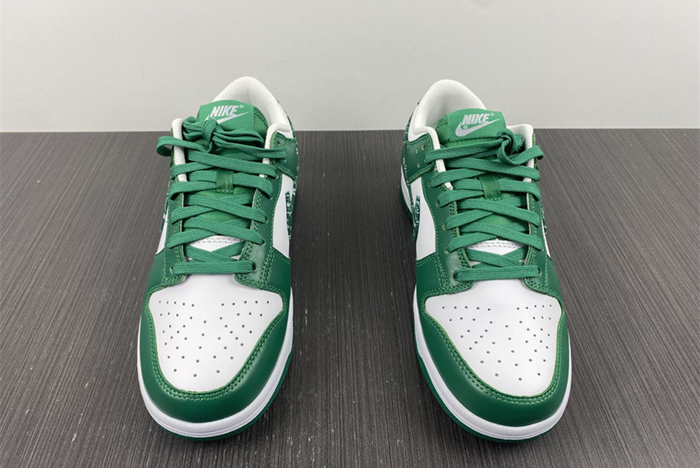 Nike Dunk Low SB DH4401-102